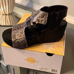 Yellow Box Wedges